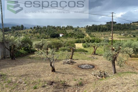 Terra a Fundao, Castelo Branco, Fundao - € 33.000 | Ref: 5740/CP - foto 10