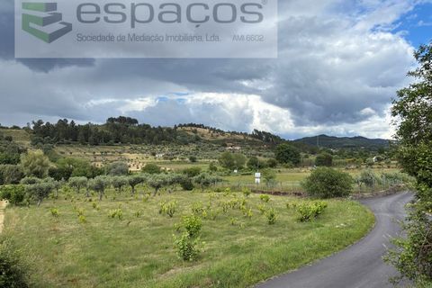 Terra a Fundao, Castelo Branco, Fundao - € 33.000 | Ref: 5740/CP - foto 11