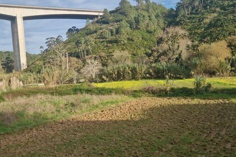 Terra a Mafra, Lisbon, Mafra - € 36.000 | Ref: 774745 - foto 3