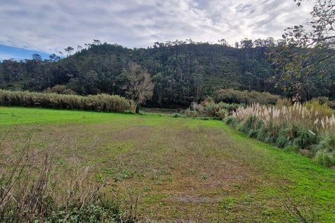 Terra a Mafra, Lisbon, Mafra - € 36.000 | Ref: 774745 - foto 4