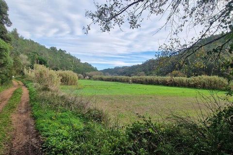Terra a Mafra, Lisbon, Mafra - € 36.000 | Ref: 774745 - foto 5