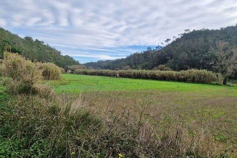 Terra a Mafra, Lisbon, Mafra - € 36.000 | Ref: 774745 - foto 9