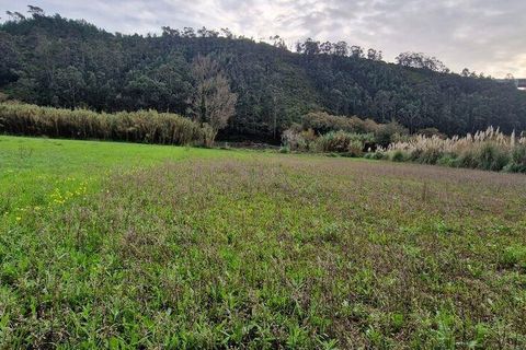 Terra a Mafra, Lisbon, Mafra - € 36.000 | Ref: 774745 - foto 10