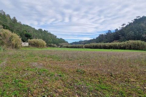 Terra a Mafra, Lisbon, Mafra - € 36.000 | Ref: 774745 - foto 12