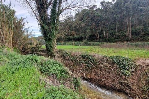 Terra a Mafra, Lisbon, Mafra - € 36.000 | Ref: 774745 - foto 16