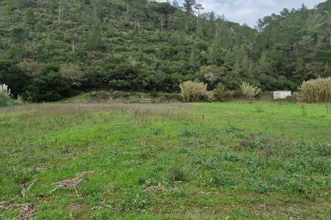 Terra a Mafra, Lisbon, Mafra - € 36.000 | Ref: 774745 - foto 18