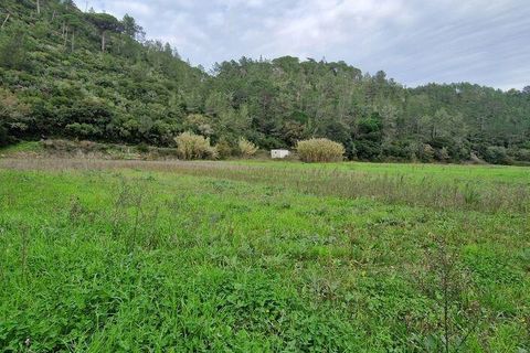 Terra a Mafra, Lisbon, Mafra - € 36.000 | Ref: 774745 - foto 20