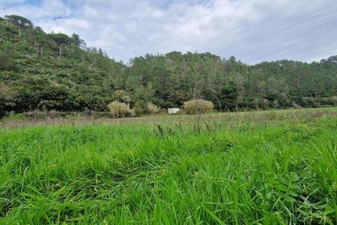 Terra a Mafra, Lisbon, Mafra - € 36.000 | Ref: 774745 - foto 21