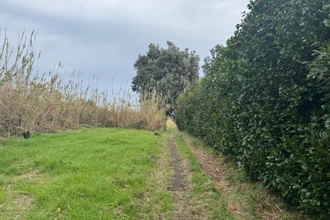 Byhus i Horta, Faial, Horta - € 265.000 | Ref: 1157 - foto 14