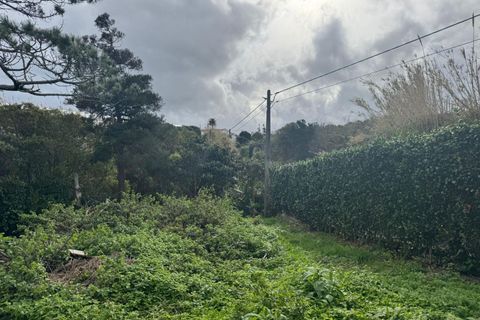 Byhus i Horta, Faial, Horta - € 265.000 | Ref: 1157 - foto 15