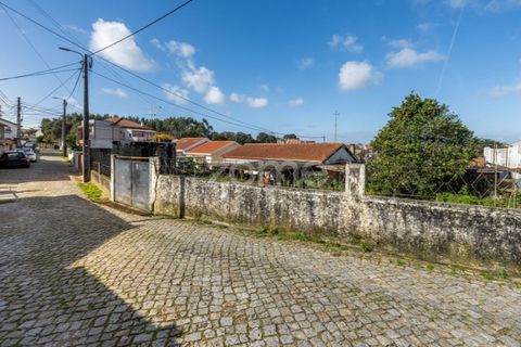 Villa a Pedroucos, Porto, Pedroucos - € 220.000 | Ref: ZMPT585347 - foto 22