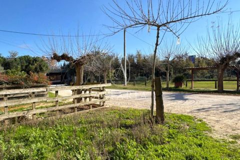 Haus in Celra, Gerona, Celra - € 600.000 | Ref: 2080 - Foto 7
