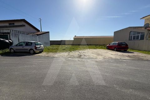 Tomt i Gafanha do Carmo, Aveiro, Gafanha do Carmo - € 49 500 | Ref: 1012443/26 GL - foto 6