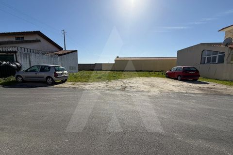 Tomt i Gafanha do Carmo, Aveiro, Gafanha do Carmo - € 49 500 | Ref: 1012443/26 GL - foto 7