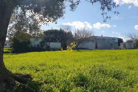 Landejendom i Ostuni, Brindisi, Ostuni - € 180.000 | Ref: R 545 - foto 2