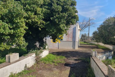 Landejendom i Ostuni, Brindisi, Ostuni - € 180.000 | Ref: R 545 - foto 3