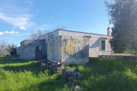 Landejendom i Ostuni, Brindisi, Ostuni - € 180.000 | Ref: R 545 - foto 5
