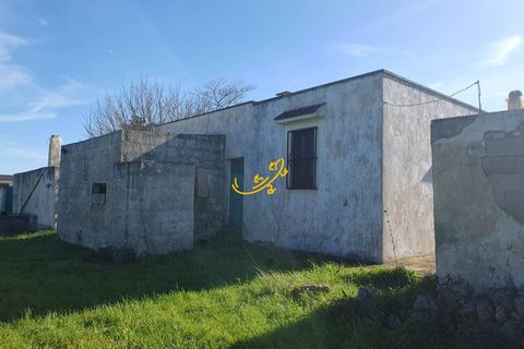 Landejendom i Ostuni, Brindisi, Ostuni - € 180.000 | Ref: R 545 - foto 6