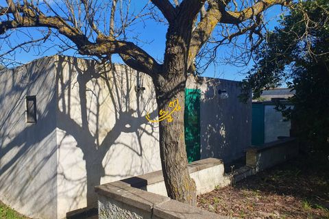 Landejendom i Ostuni, Brindisi, Ostuni - € 180.000 | Ref: R 545 - foto 8