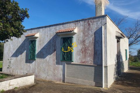 Landejendom i Ostuni, Brindisi, Ostuni - € 180.000 | Ref: R 545 - foto 9