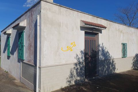 Landejendom i Ostuni, Brindisi, Ostuni - € 180.000 | Ref: R 545 - foto 11