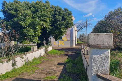 Landejendom i Ostuni, Brindisi, Ostuni - € 180.000 | Ref: R 545 - foto 12