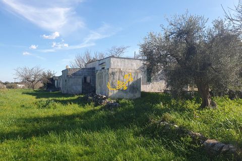 Landejendom i Ostuni, Brindisi, Ostuni - € 180.000 | Ref: R 545 - foto 13