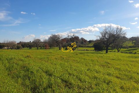 Landejendom i Ostuni, Brindisi, Ostuni - € 180.000 | Ref: R 545 - foto 14