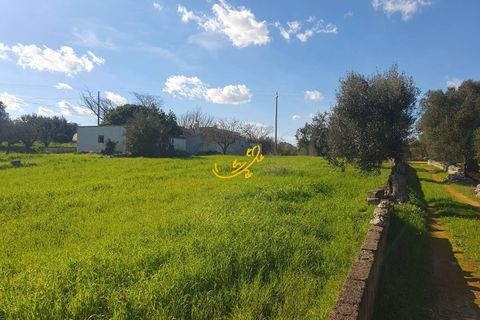 Landejendom i Ostuni, Brindisi, Ostuni - € 180.000 | Ref: R 545 - foto 15