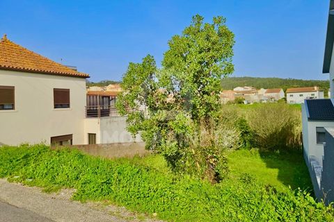 Terra a Vila Verde, Coimbra, Vila Verde - € 60.000 | Ref: LG 1935 - foto 3