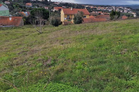 Helårsgrund i Carvalhal, Santarem, Carvalhal - € 360.000 | Ref: C0364-05576 - foto 1