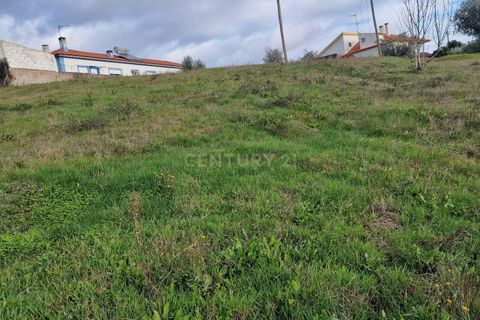 Helårsgrund i Carvalhal, Santarem, Carvalhal - € 360.000 | Ref: C0364-05576 - foto 2