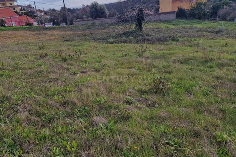 Helårsgrund i Carvalhal, Santarem, Carvalhal - € 360.000 | Ref: C0364-05576 - foto 3