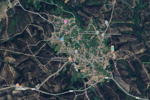 Helårsgrund i Carvalhal, Santarem, Carvalhal - € 360.000 | Ref: C0364-05576 - foto 10