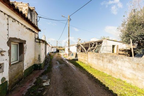 Villa i Estremoz, Evora, Estremoz - € 57.000 | Ref: 318/M/03776 - foto 5