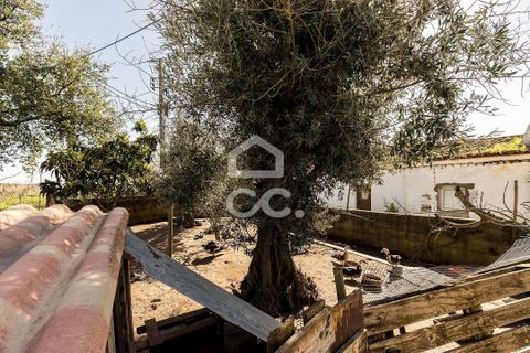 Villa i Estremoz, Evora, Estremoz - € 57.000 | Ref: 318/M/03776 - foto 19
