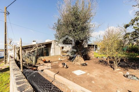 Villa i Estremoz, Evora, Estremoz - € 57.000 | Ref: 318/M/03776 - foto 20