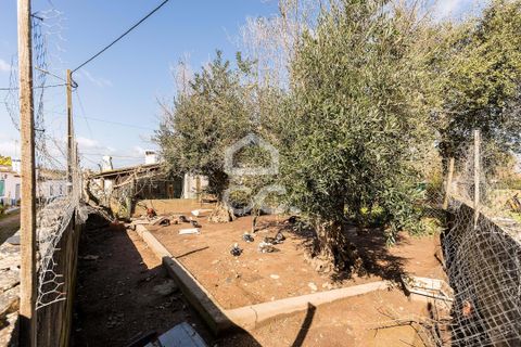 Villa i Estremoz, Evora, Estremoz - € 57.000 | Ref: 318/M/03776 - foto 21