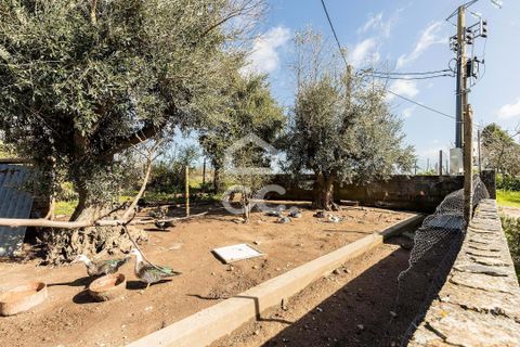 Villa i Estremoz, Evora, Estremoz - € 57.000 | Ref: 318/M/03776 - foto 22