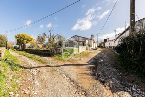 Villa i Estremoz, Evora, Estremoz - € 57.000 | Ref: 318/M/03776 - foto 23