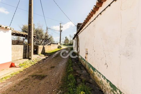 Villa i Estremoz, Evora, Estremoz - € 57.000 | Ref: 318/M/03776 - foto 24