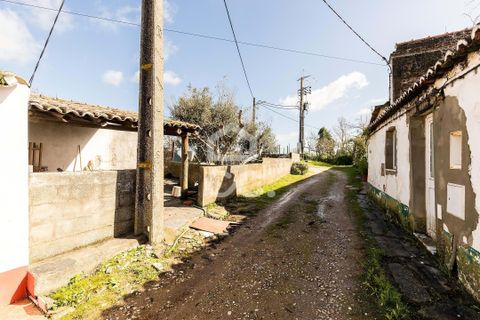 Villa i Estremoz, Evora, Estremoz - € 57.000 | Ref: 318/M/03776 - foto 25