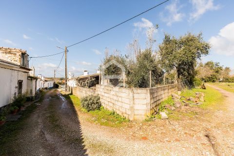 Villa i Estremoz, Evora, Estremoz - € 57.000 | Ref: 318/M/03776 - foto 26