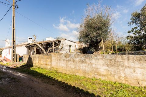 Villa i Estremoz, Evora, Estremoz - € 57.000 | Ref: 318/M/03776 - foto 27
