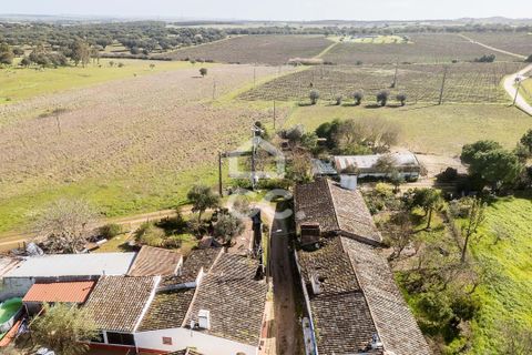 Villa i Estremoz, Evora, Estremoz - € 57.000 | Ref: 318/M/03776 - foto 33