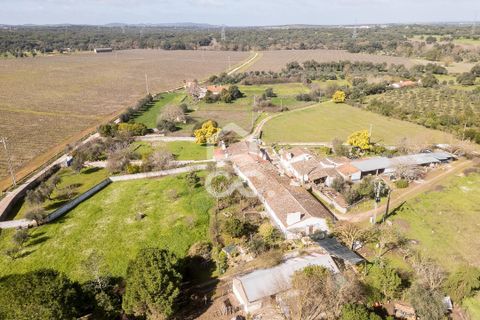 Villa i Estremoz, Evora, Estremoz - € 57.000 | Ref: 318/M/03776 - foto 36