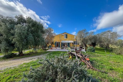 Villa a Sassari, Sassari, Sassari - € 420.000 | Ref: 13915 - foto 16