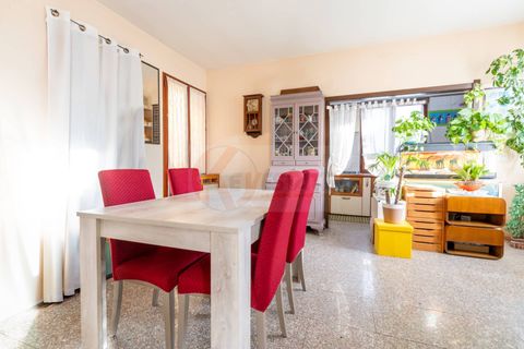 Villa i Sassari, Sassari, Sassari - € 295.000 | Ref: 13919 - foto 12