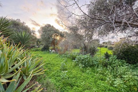 Villa i Sassari, Sassari, Sassari - € 295.000 | Ref: 13919 - foto 37