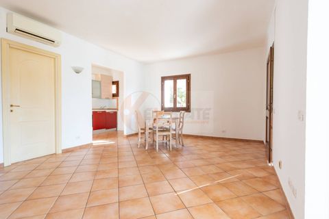 Rækkehus i Arzachena, Sassari, Arzachena - € 320.000 | Ref: 13925 - foto 3
